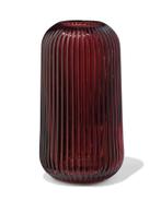 HEMA Vaas voor geurstokjes 8.5x16.2cm glas ribbel aubergine, Verzenden, Nieuw