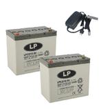 Landport (LP) 2x LPCG12-50 accus 12 volt 50 ah + IMPULS II, Ophalen of Verzenden, Nieuw