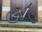 MXUS e bike, electrische mountainbike, Overige merken, Hardtail, Nieuw, 49 tot 53 cm