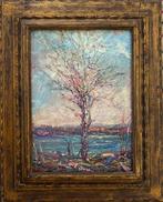 Giulio Cisari (1892 - 1979) - Paesaggio lacustre, Antiek en Kunst