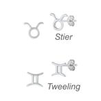 Zilveren mini sterrenbeeld oorstekers, Sieraden, Tassen en Uiterlijk, Oorbellen, Verzenden, Nieuw, Zilver