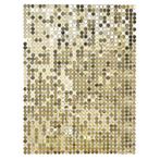 Gouden Backdrop 30,5cm, Verzenden, Nieuw