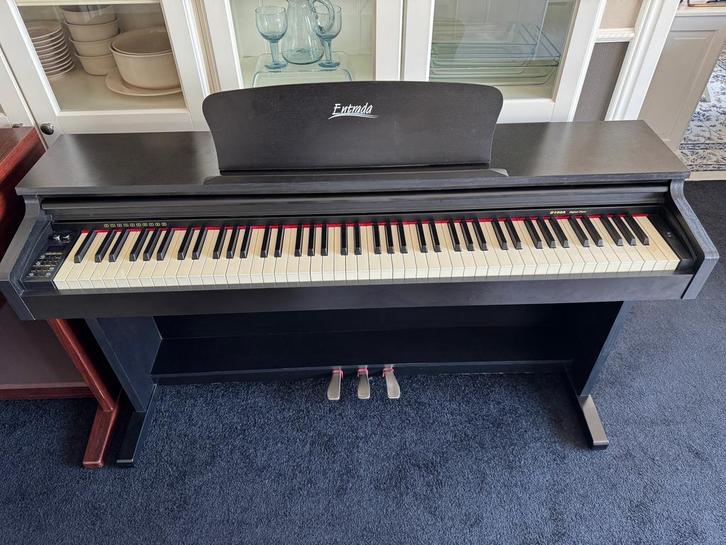 Entrada D100A - Digitale piano, Muziek en Instrumenten, Piano's, Piano, Zwart, Gebruikt, Digitaal, Ophalen