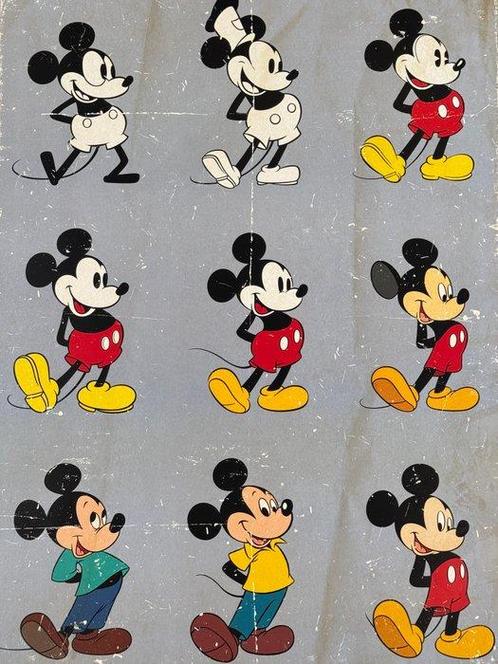 Mickey Mouse - Evolution, Antiek en Kunst, Kunst | Tekeningen en Foto's