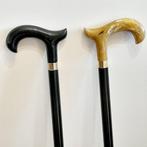 Wandelstok (2) - Ebbenhout