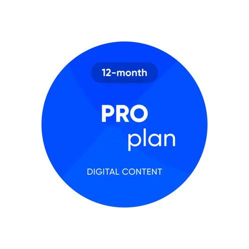 OBDeleven PRO plan 12 maanden, Auto diversen, Autogereedschap, Verzenden