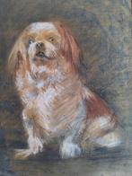 Henriette Ronner-Knip (1821-1909) - Portrait dun pékinois.