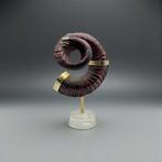 Decoratief ornament - Spanje - hoorn