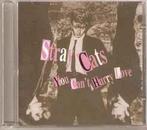 cd - Stray Cats - You Cant Hurry Love, Zo goed als nieuw, Verzenden