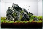 Ordinairy Tsinglung 10-20cm  - aquarium decoratie steen, Dieren en Toebehoren, Vissen | Aquaria en Toebehoren, Nieuw, Verzenden