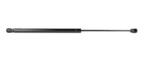 Ford Tailgate Shock Absorber - Sw Xs41 N406a10 Aj 1146649, Verzenden, Nieuw, Ford