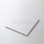 Wandtegel 20x20 mat wit wandtegel tegeloutlet tegels in, Doe-het-zelf en Verbouw, Tegels, Ophalen of Verzenden, Nieuw, 10 m² of meer