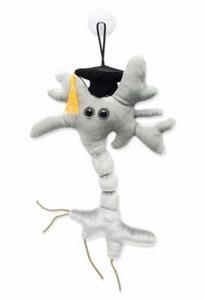 Giant Microbes Brain cell graduation (hersencel met baret), Verzamelen, Speelgoed, Verzenden