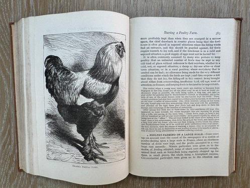 Beeton - Farmers Own Book - 1880, Antiek en Kunst, Antiek | Boeken en Bijbels