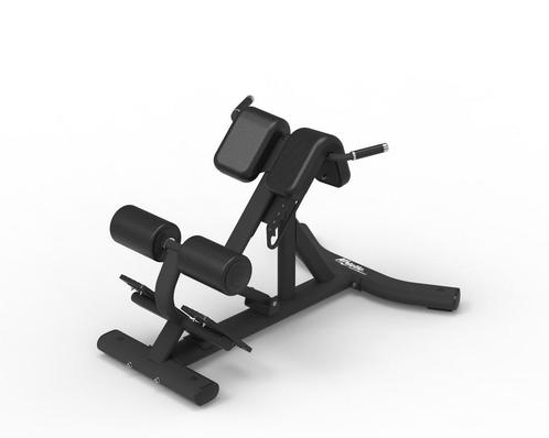Lower Back Bench, Sport en Fitness, Fitnessmaterialen, Overige typen, Nieuw, Rug, Verzenden
