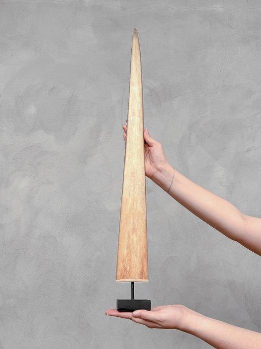 Geen reserveprijs - Zwaardvisgewei gemonteerd op een op maat, Verzamelen, Dierenverzamelingen