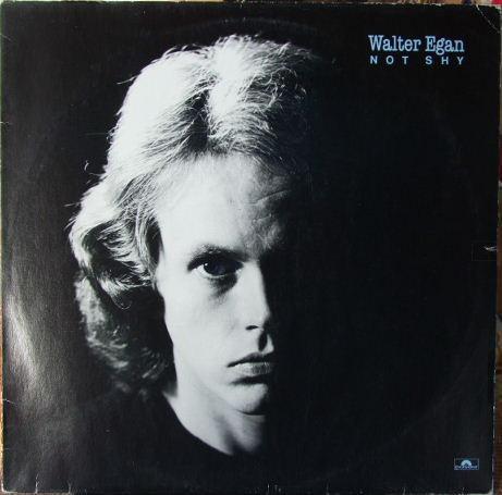 LP gebruikt - Walter Egan - Not Shy, Cd's en Dvd's, Vinyl | Rock, Zo goed als nieuw, Verzenden