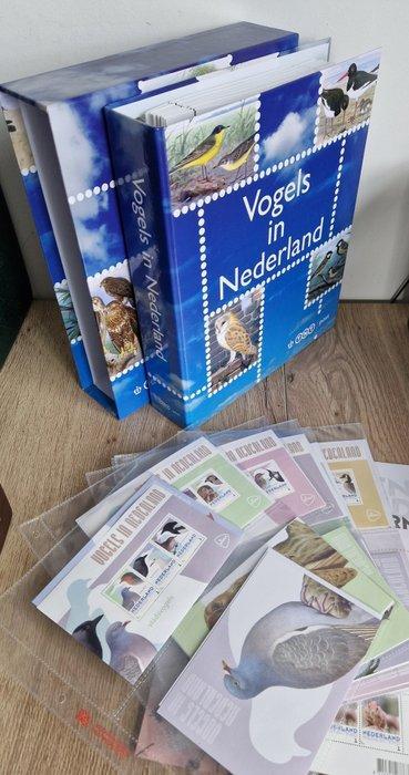 VOGELS 2012/2013 - Frankeergeldige blokken + speciaal album, Postzegels en Munten, Postzegels | Nederland