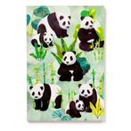 Notitieboekje A5 - Panda Kingdom - Gerecycled Papier- Gelini, Diversen, Ophalen of Verzenden, Nieuw