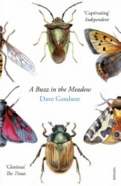 A Buzz in the Meadow 9780099597698 Dave Goulson, Boeken, Taal | Engels, Gelezen, Verzenden