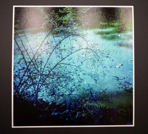 Viet Ha Tran - Silence of the moon, Antiek en Kunst, Kunst | Schilderijen | Modern