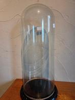 Globe - stolp - antiek - 1901-1920 - Antieke ronde stolp