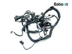 Kabelboom Kawasaki ZX 10 R 2008-2010 (NINJA ZX-10R, Motoren, Gebruikt