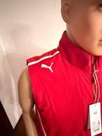 Ferrari - Formule 1 - SF Team Gilet - 2025 - Teamkleding, Nieuw