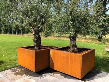 Cortenstaal bloembakken (tuindecoratie) beschikbaar voor biedingen