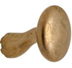 Knop Paddenstoel tbv SKG schild messing antiek, Verzenden, Nieuw