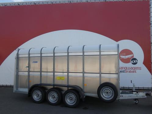 Op voorraad! Ifor-Williams Veetrailer tridemas 427x178x183cm, Dieren en Toebehoren, Paarden en Pony's | Trailers en Aanhangwagens