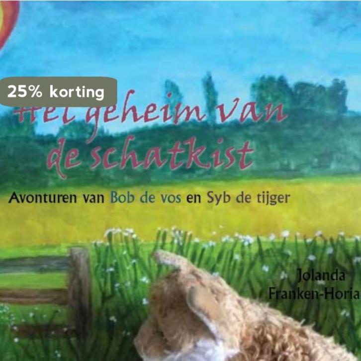 Het geheim van de schatkist 9789463894906, Boeken, Kinderboeken | Baby's en Peuters, Zo goed als nieuw, Verzenden