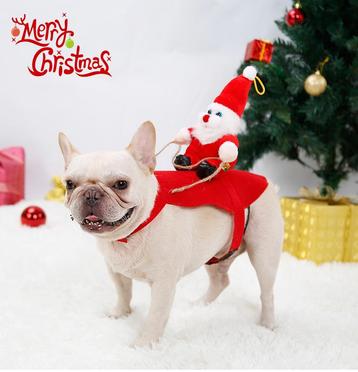 Kerstkleding voor de hond of kat (Kerstmis) beschikbaar voor biedingen