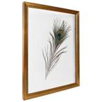 Fotolijst Dubbelglas Goud 30x40 cm, Ophalen of Verzenden, Nieuw