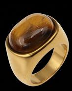 Het Schild van Rome - Zegelring Tijgeroog - Waakzaamheid en