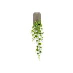 Hoya kerrii vine 90 cm kunstplant - Emerald, Huis en Inrichting, Nieuw, Verzenden