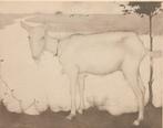 Jan Mankes (1889-1920) - Geit bij Meer, Antiek en Kunst