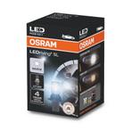 Osram P13W LED Retrofit Wit 12V PG18.5d-1, Auto-onderdelen, Verlichting, Ophalen of Verzenden, Nieuw