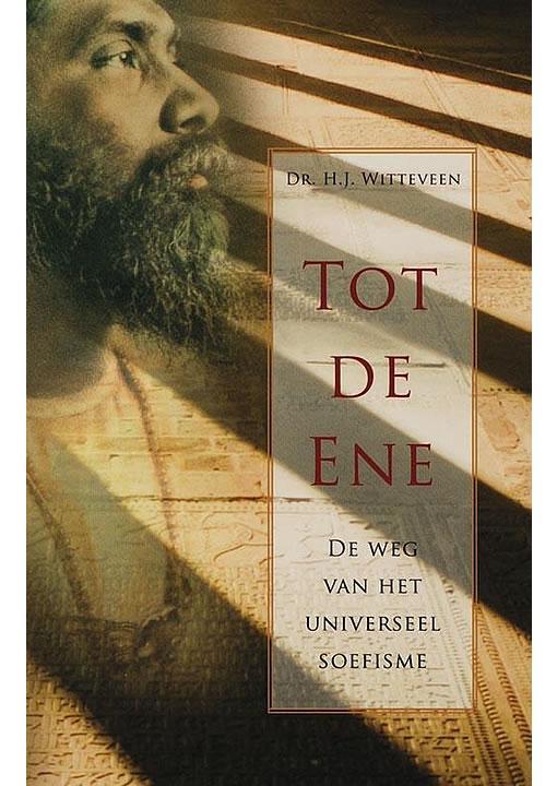 Tot de Ene H.J. Witteveen, Boeken, Esoterie en Spiritualiteit, Gelezen, Verzenden