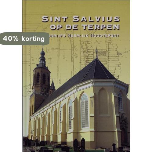 Sint Salvius op de terpen 9789033012556 Dirk J. de Vries, Boeken, Kunst en Cultuur | Beeldend, Gelezen, Verzenden
