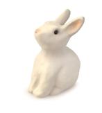Egmont Toys Spaarpot Konijn decorat van €9,95 voor €7,96, Ophalen of Verzenden, Nieuw