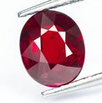 Robijn - 2.05 ct - Lotus Gemology - Royal Red (Mozambique), Nieuw