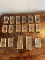 Themacollectie - Verzameling van insecten in transparante