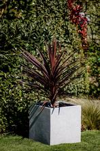Cube L 60x60x60 cm Grey, Tuin en Terras, Bloembakken en Plantenbakken, Verzenden, Nieuw, Vierkant, Beton