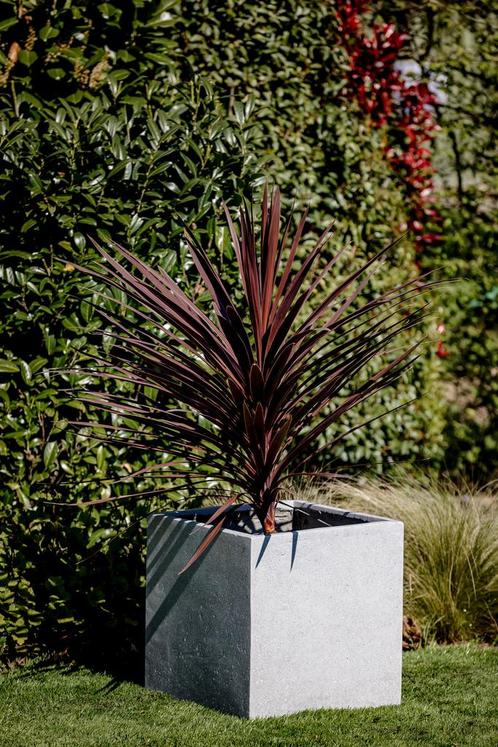 Cube L 60x60x60 cm Grey, Tuin en Terras, Bloembakken en Plantenbakken, Nieuw, Beton, Vierkant, Verzenden