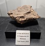 Al Haggounia 001 meteoriet Chondrite meteoriet - Hoogte: 50, Verzamelen, Mineralen en Fossielen