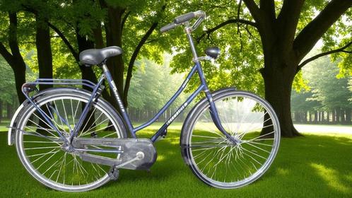 Locomotief Spirit KT Remnaaf Blauw Dames, Fietsen en Brommers, Fietsen | Dames | Damesfietsen, Gebruikt, Overige merken, Ophalen