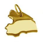 Gouden Provincie Drenthe ketting hanger, Verzenden, Nieuw