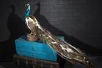 NO RESERVE PRICE Indian Blue Peafowl Taxidermie volledige, Verzamelen, Nieuw