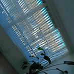 Huis met woonkamer in Den Bosch, Huizen en Kamers, Huizen te huur, (Studenten)kamer, Direct bij eigenaar, Den-bosch